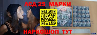 СК Новокубанск
