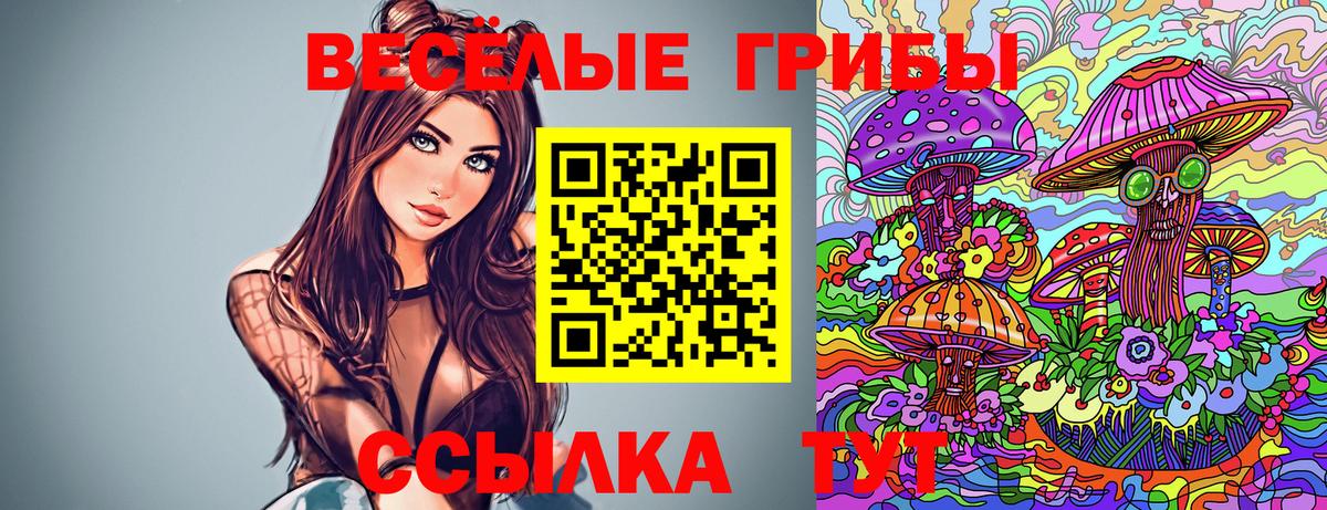 Галлюциногенные грибы Cubensis Отрадный